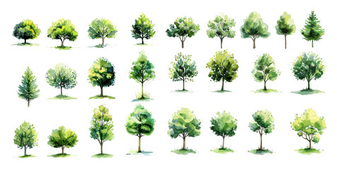 Vector set of hand drawn green trees in watercolor style, isolated on white background, nature illustration, forest elements, eco design, botanical clipart, tree collection
