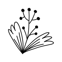 Winter plant with berries, cartoon doodle vector illustration isolated on white background. Hand drawn monochrome flower outline.