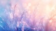 © xedge - A close-up of dew-covered grass blades in the early morning light with soft bokeh effects, ultra-sharp