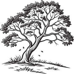  Guanacaste tree vector design