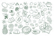 © chekiwart - Hand drawn different fruits set. Vegan food collection in sketch style