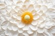 © julija - pristine white marguerite daisy with perfect yellow center isolated against pure white background, showing intricate petal details and delicate texture in high-key photography