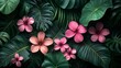© Dwina - Tropical flowers and leaves, lush background, nature, visual