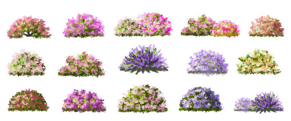 Fototapete - set of flowers, Vector of tree or blooming  side view isolated on white background ,watercolor tree elevation for landscape concept,environment scene,eco design,blossom garden for spring
