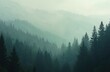 © miss irine - Misty mountain landscape with fog over green hills. Moody scenery with silhouette of forest trees. Natural mountain background for travel, nature and eco projects. Scenic calm woodland in morning.