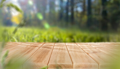 Wall Mural - empty wooden table top on green nature background. copy space for products.