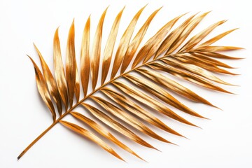 Poster - Vibrant tropical leaf displayed on a light background during daylight, showcasing its intricate details and warm colors