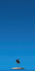 Wall Mural - Solitary palm tree on small desert island surrounded by clear blue sky and calm ocean