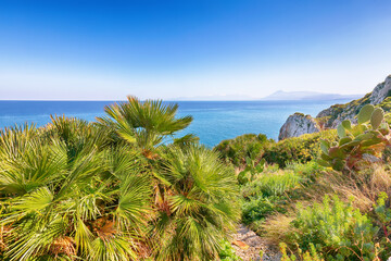 Wall Mural - splendid sunny day on cape zaferanno and national park orientata pizzo cane
