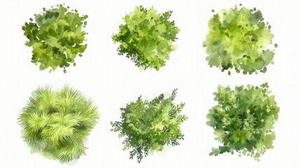 A soft and natural set of six watercolor inspired top down trees