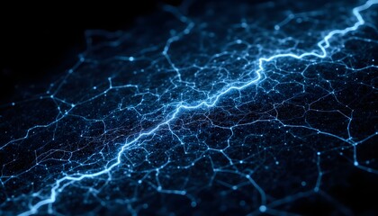 An intricate web of interconnected fibers spread out in a delicate lattice pattern, resembling a network of electric circuits