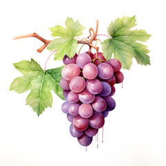 Wall Mural - digital technology grape watercolor design illustration