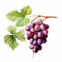 Wall Mural - digital technology grape watercolor design illustration