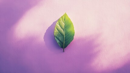 Wall Mural - Single Leaf on Pastel Background with Copy Space