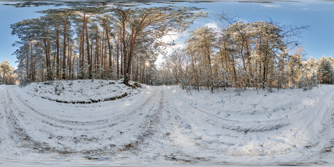 Wall Mural - winter full spherical 360 hdri panorama view on pedestrian road in snowy forest in equirectangular projection. VR AR content.