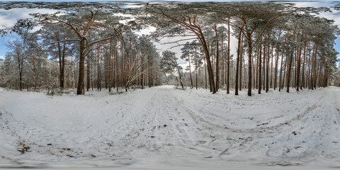 Wall Mural - winter full spherical 360 hdri panorama view on pedestrian road in snowy forest in equirectangular projection. VR AR content.