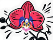 © PANDORA ILARE - Primo piano di una splendida orchidea vibrante di colori dai motivi intricati, Close-up of a beautiful orchid vibrant with intricate patterns