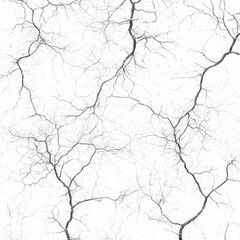 Aufkleber - Cracked Surface: A Monochrome Abstract of Interconnected Lines on a White Background, Evoking Nature's Resilience 
