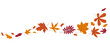 © Aigul - Various autumn leaves in the wind on white background. Wave of falling leaves. Hand drawn vector illustration.