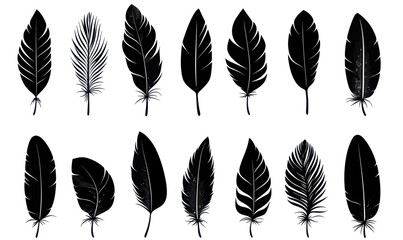 Wall Mural - minimalist black feather icons set in flat svg vector silhouette style
