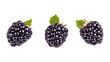 © madyshah783 - PNG Blackberries Set in Different Poses on Transparent Background for Food Illustration, Healthy Eating Promotion, or Organic Branding