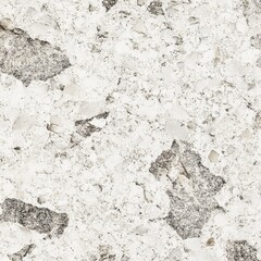 Poster - White Marble Texture with Dark Grey Inclusions, Abstract Stone Surface Background for Countertops, Flooring, or Decorative Applications