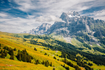 Leinwandbilder - Gorgeous view of Grindelwald village among high mountains. Location place Bernese Alps, Interlaken Oberhasli, canton Berne, Switzerland, Europe.