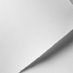 Poster - Minimalist White Paper Texture with Torn Edge, Monochrome Fine Art Photography