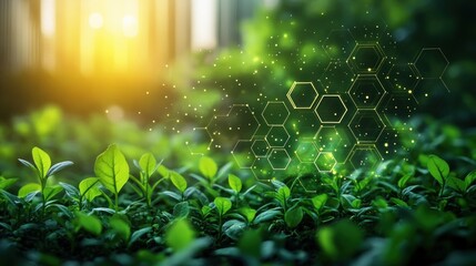 Net Zero Carbon Emission Strategy for Sustainable Future Green City Climate Neutral Innovation