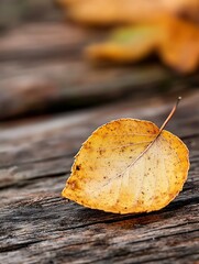 Poster - Single yellow leaf resting on weathered wooden surface representing autumn vibes : Generative AI