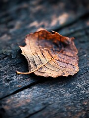 Poster - Autumn leaf on rustic wooden surface highlighting natural color and texture of decay : Generative AI