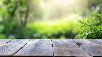 Poster - Beautifully lit wooden table surrounded by vibrant greenery in a serene forest setting : Generative AI