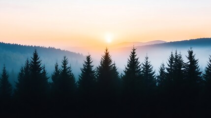 Poster - Majestic view of pine trees silhouetted against the vibrant sunrise in the mountains : Generative AI