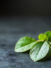 Aufkleber - Closeup view of fresh green mint leaves on a dark surface highlighting texture and freshness : Generative AI