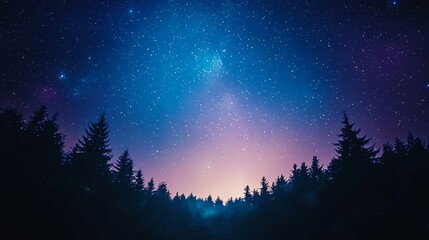 Wall Mural - a night sky with stars and a forest silhouetted by trees