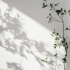 Aufkleber - Serene botanical setting with verdant leaves against a textured wall bathed in soft light and shadow calm ambiance