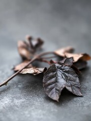 Aufkleber - Dry brown leaves on a textured gray surface presenting a natural and moody vibe : Generative AI