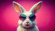 © ChannelPIC - Vintage Pink Rabbit Sunglasses Photo - Retro Bunny Style, Stylish Hare, Cool Rabbit