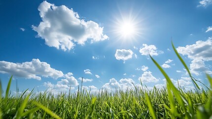Fototapete - Breathtaking panoramic view of green grass field under sunny blue skies with dynamic cloud patterns : Generative AI