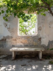 Leinwandbilder - Serene and rustic view of an empty bench surrounded by nature and sunlight : Generative AI
