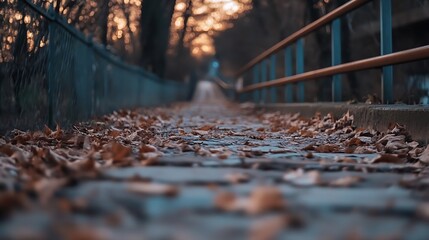Aufkleber - Calm autumn walkway covered in fallen leaves surrounded by trees and soft evening light : Generative AI