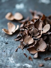 Poster - Elegant brown dried flower petals scattered artfully on a textured surface highlighting nature's beauty : Generative AI