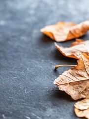 Poster - Dry autumn leaves scattered on a dark textured surface creating a natural and rustic still life arrangement : Generative AI