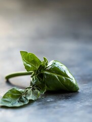 Poster - Single Leafy Basil Sprig on Smooth Stone Surface Highlighting Freshness and Culinary Use : Generative AI