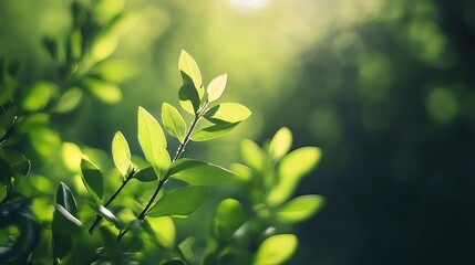 Poster - Closeup of vibrant green leaves capturing the essence of nature's freshness and vitality with light bokeh : Generative AI