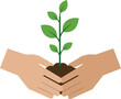 © OKAN - Two hands gently cradling a small green plant in rich soil, depicted in a minimal and clean design style, symbolizing growth and care in vector illustration