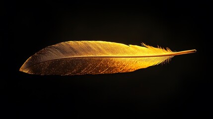 Poster - Golden Bird Feather on Black Background