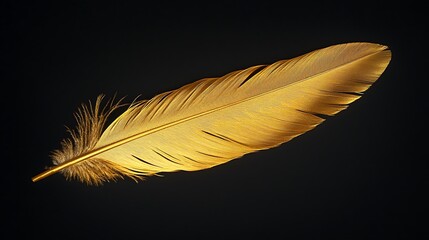 Poster - Golden Feather Black Background Luxury Design Image