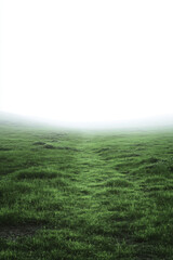 Wall Mural - Misty morning landscape showcasing a vast green field fading into a foggy horizon.