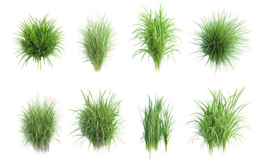 Various types of lush green grass clumps displayed in a grid pattern for landscaping use